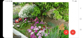 Dispina Guest House, Gagra